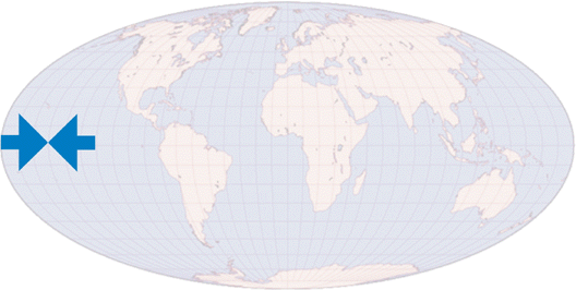The World of EXIM Partners